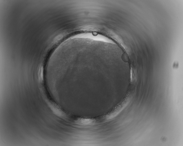 X0000102000205200808151455