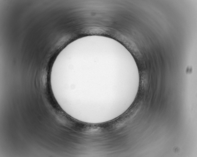 X0000102000206200808151455