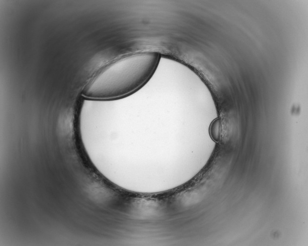 X0000102000207200808151455