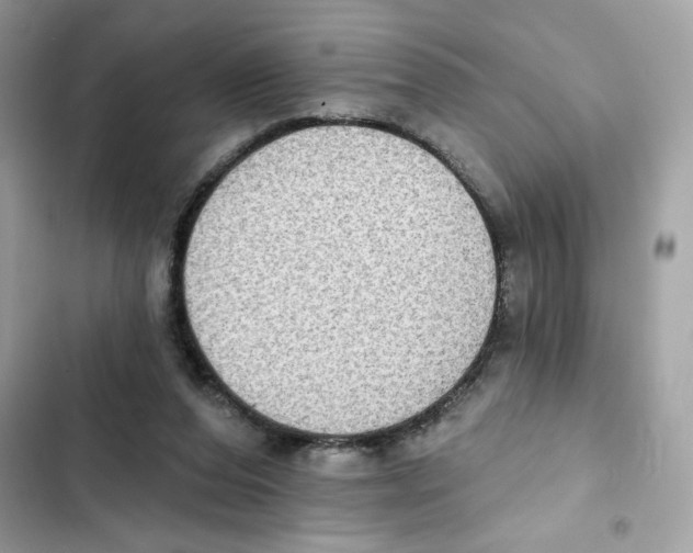 X0000102000208200808151455