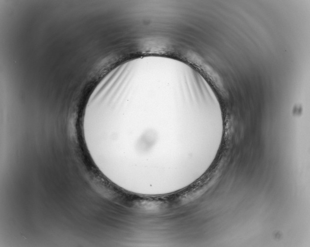 X0000102000209200808151455