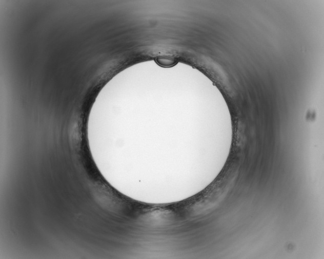 X0000102000210200808151455