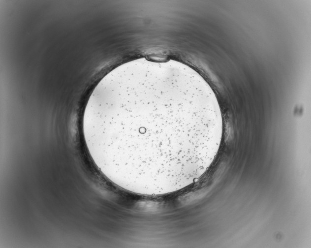 X0000102000211200808151455