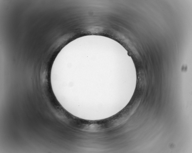 X0000102000212200808151455