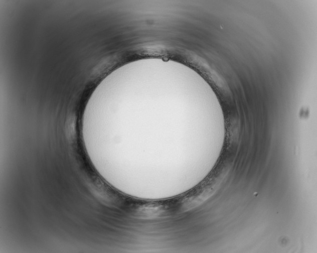 X0000102000213200808151455