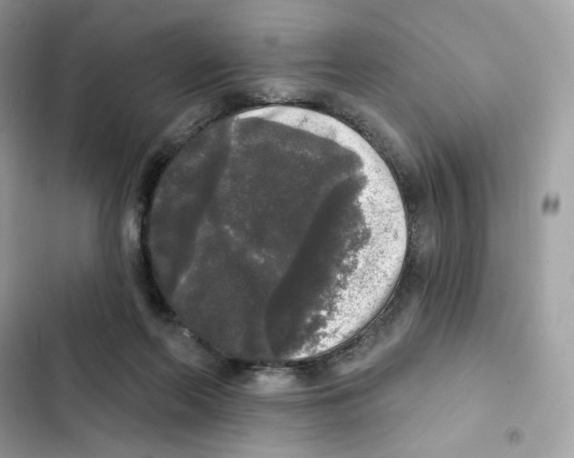 X0000102000214200808151455