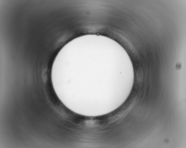 X0000102000216200808151455