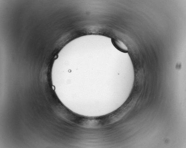 X0000102000217200808151455