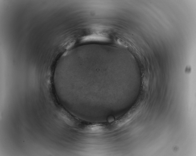 X0000102000219200808151455