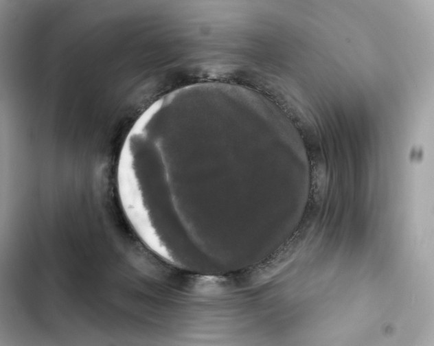 X0000102000222200808151455