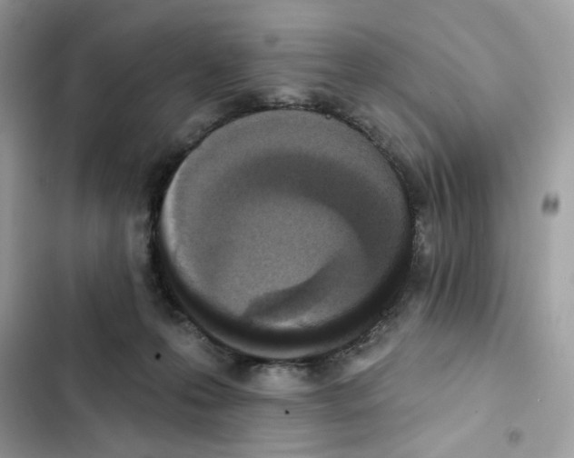 X0000102000223200808151455