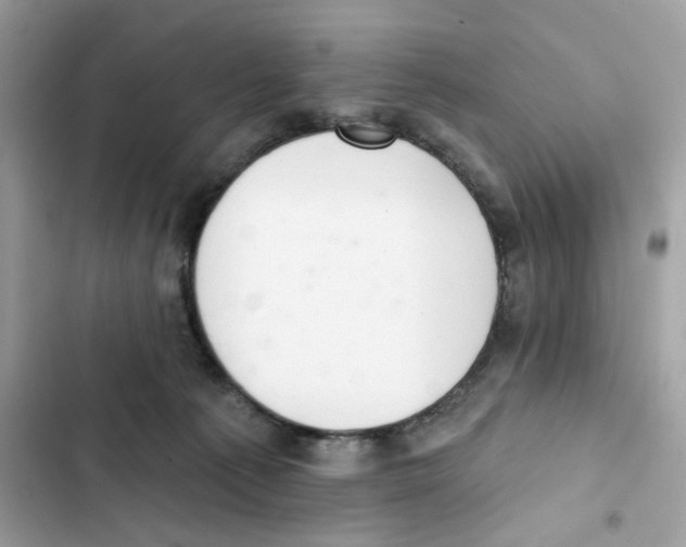 X0000102000225200808151455