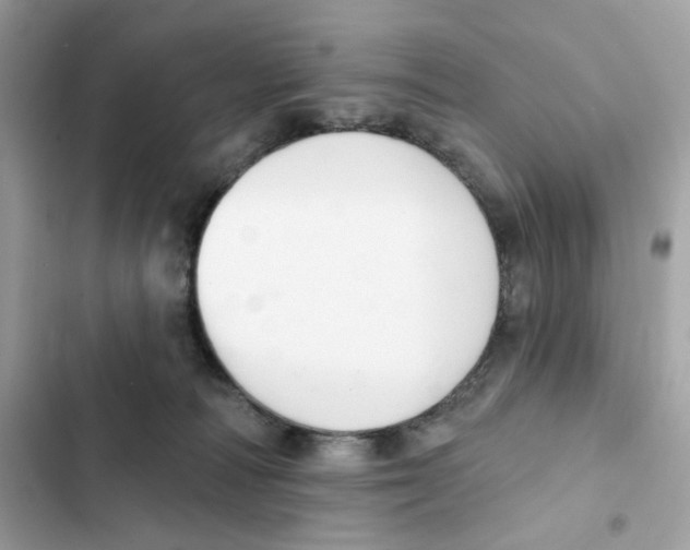 X0000102000226200808151455