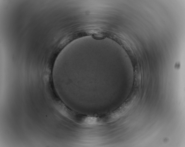 X0000102000227200808151455