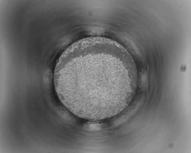 X0000102000228200808151455