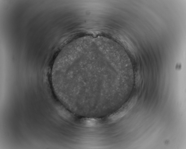 X0000102000229200808151455