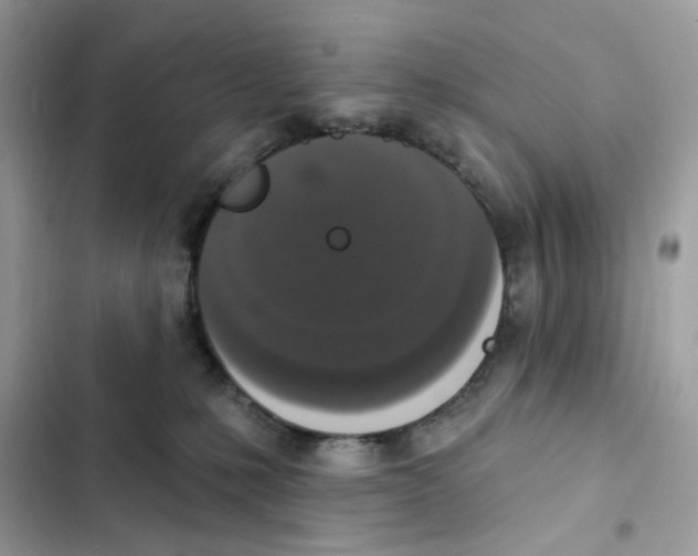 X0000102000231200808151455