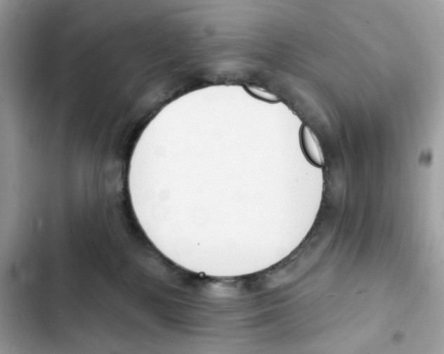 X0000102000232200808151455