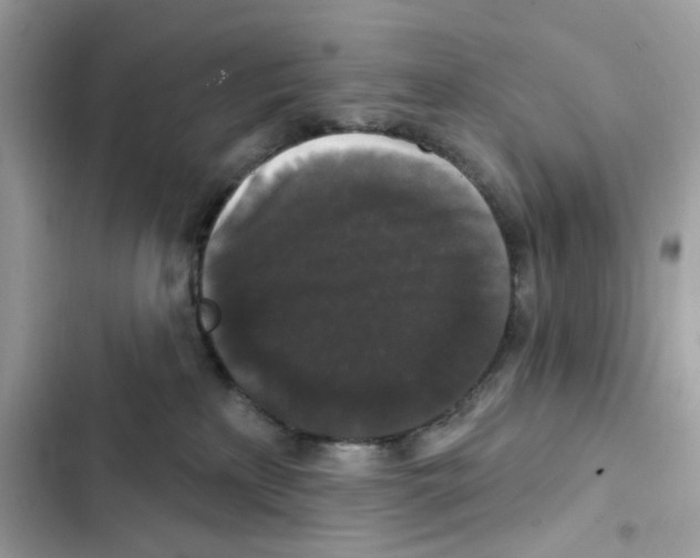 X0000102000233200808151455