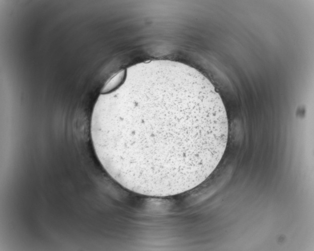 X0000102000234200808151455