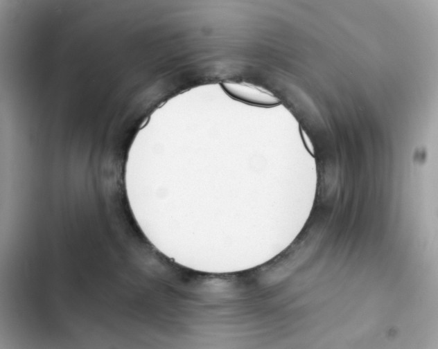 X0000102000236200808151454