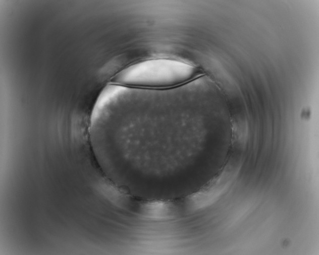 X0000102000237200808151454