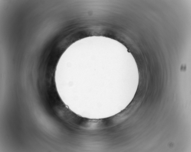 X0000102000240200808151454