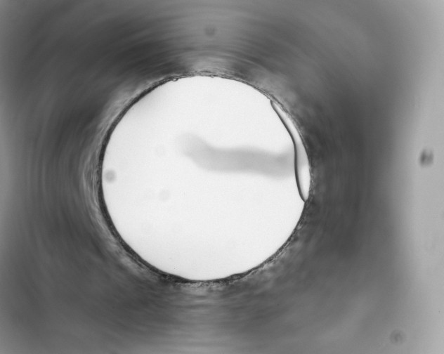 X0000102000241200808151454