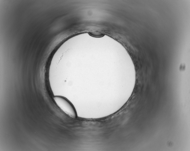 X0000102000242200808151454