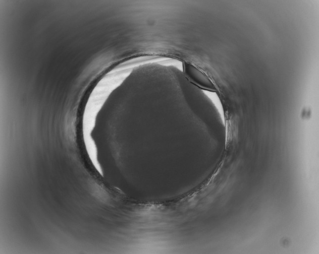 X0000102000243200808151454