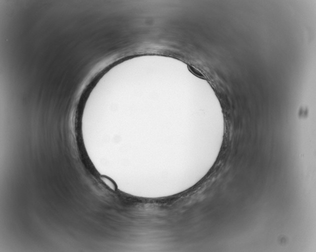 X0000102000244200808151454