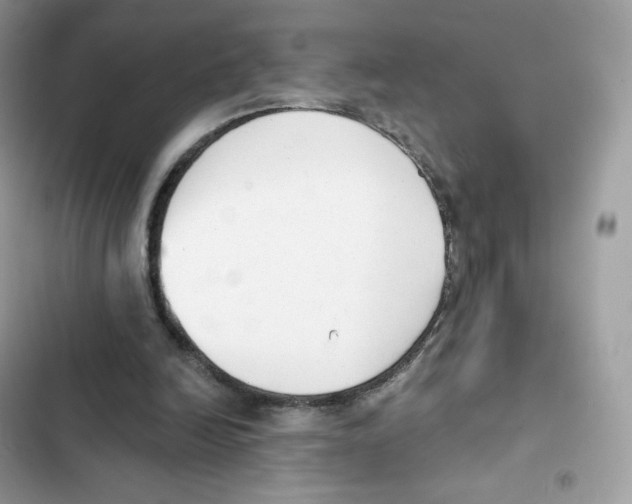 X0000102000246200808151454