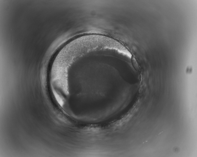 X0000102000247200808151454