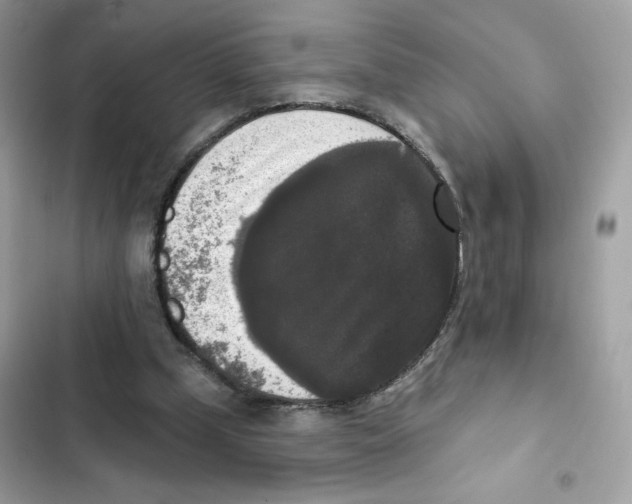 X0000102000249200808151454