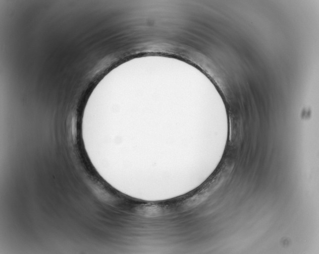 X0000102000253200808151454