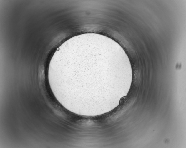 X0000102000254200808151454