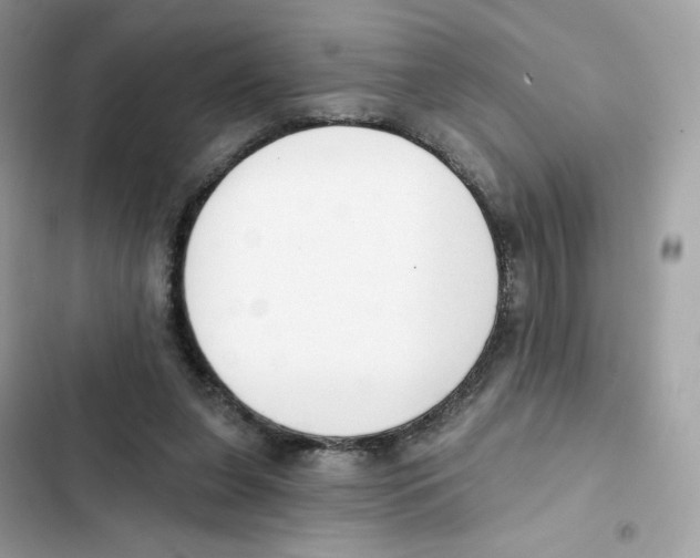 X0000102000255200808151454