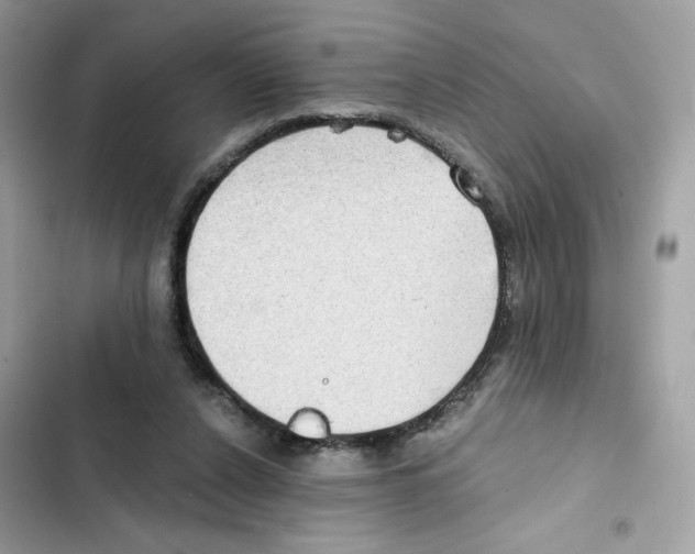 X0000102000256200808151454