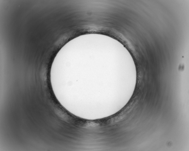 X0000102000257200808151454