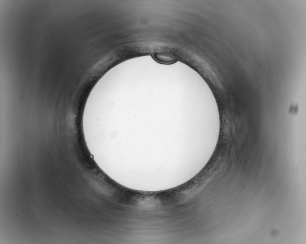 X0000102000258200808151454