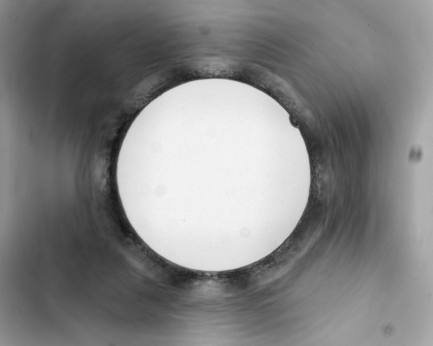 X0000102000259200808151454