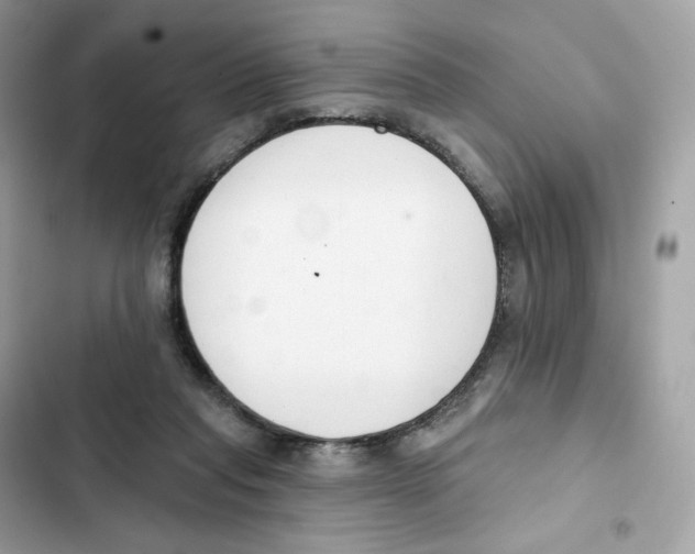 X0000102000261200808151454