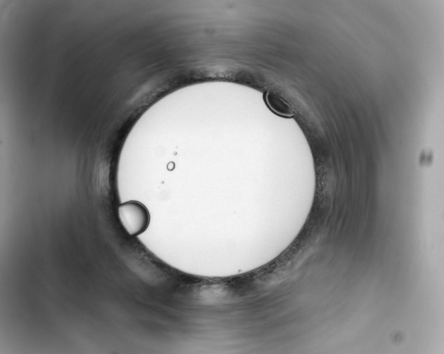 X0000102000262200808151454