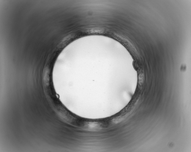 X0000102000264200808151454