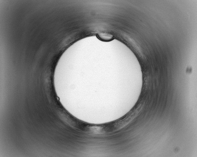 X0000102000265200808151454