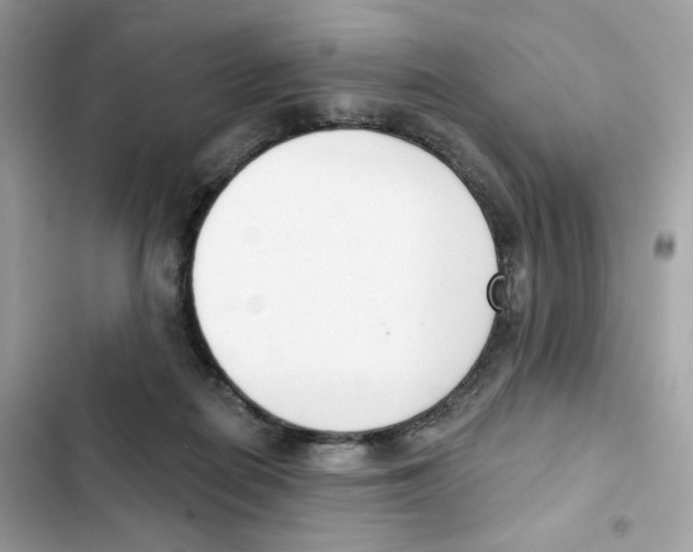 X0000102000266200808151454