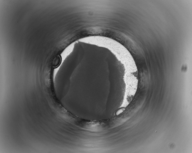 X0000102000267200808151454