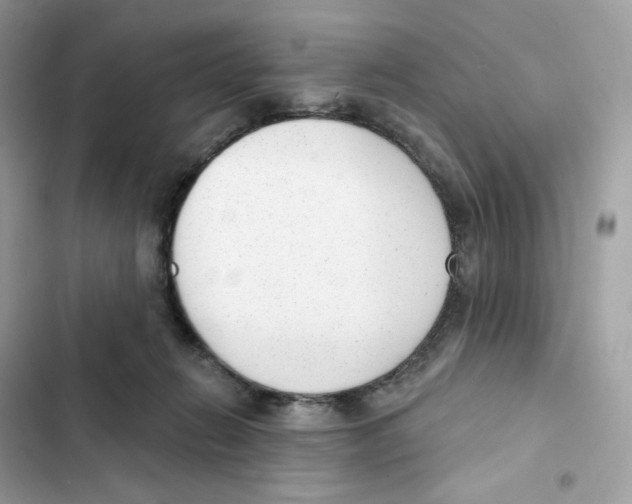 X0000102000270200808151454