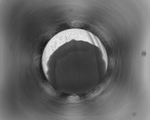 X0000102000271200808151454