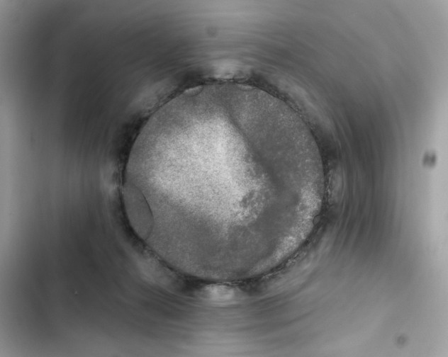 X0000102000272200808151454